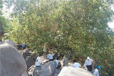 Địa điểm chi tình báo Khánh Hòa tại Hòn Thị